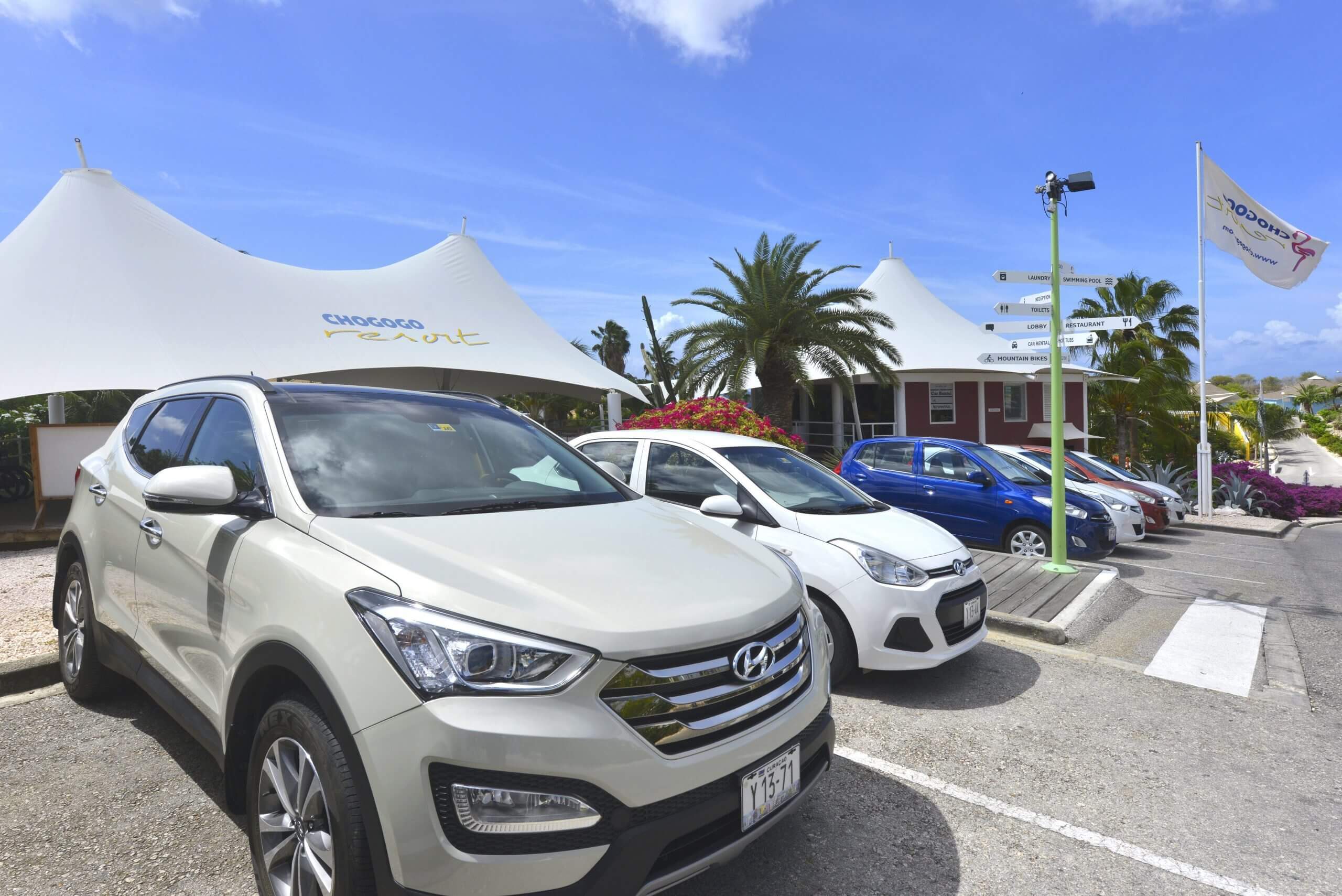 Chogogo Curacao car rental service, with different car options.